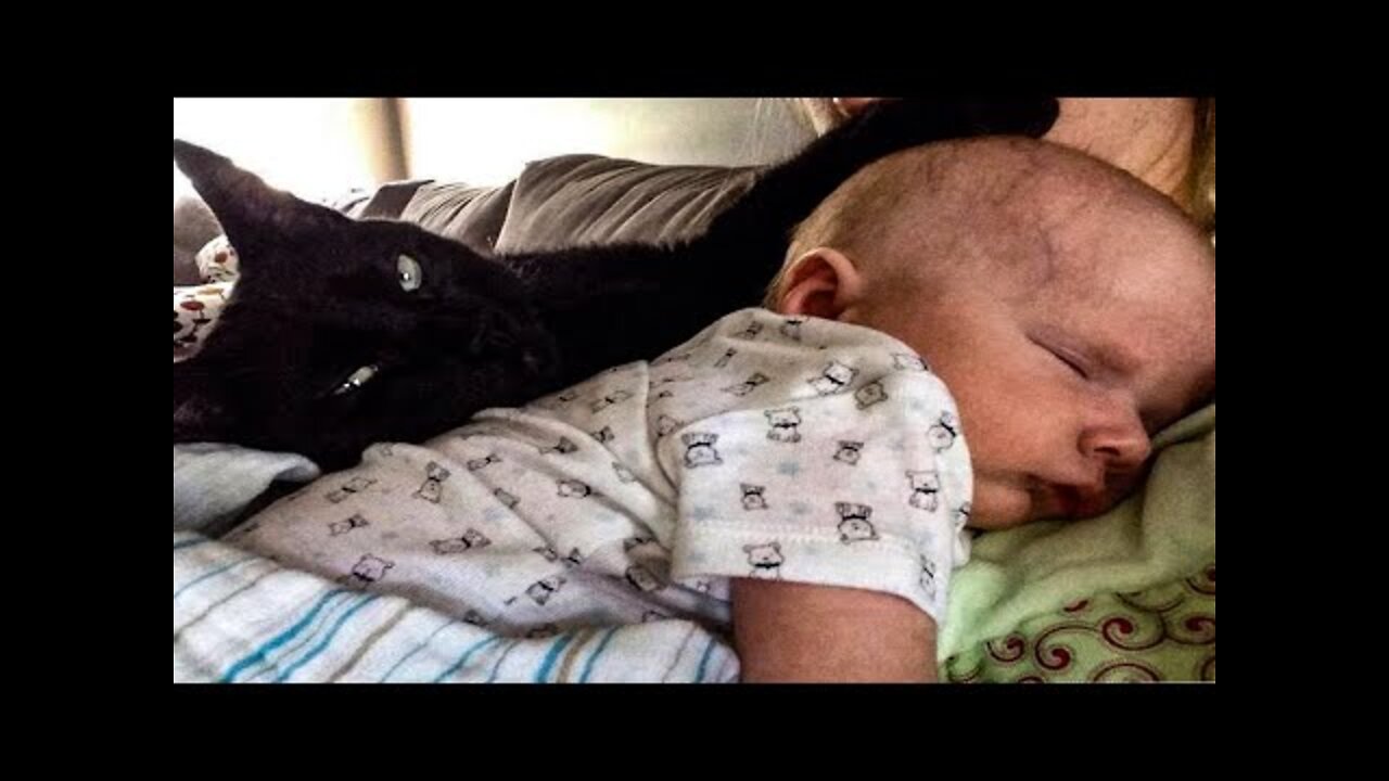 Scary Cat Saves Baby From This Babysitter