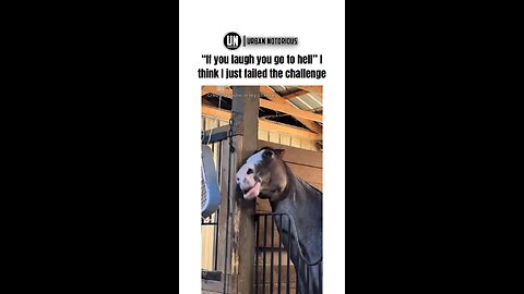 🤣