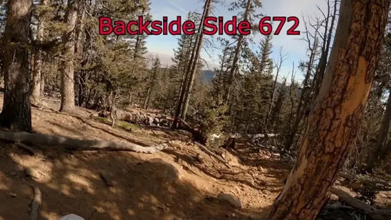 Mt Rosa Tree's Down (3 Total as of Nov 16th)