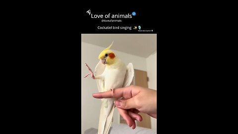 Love animals