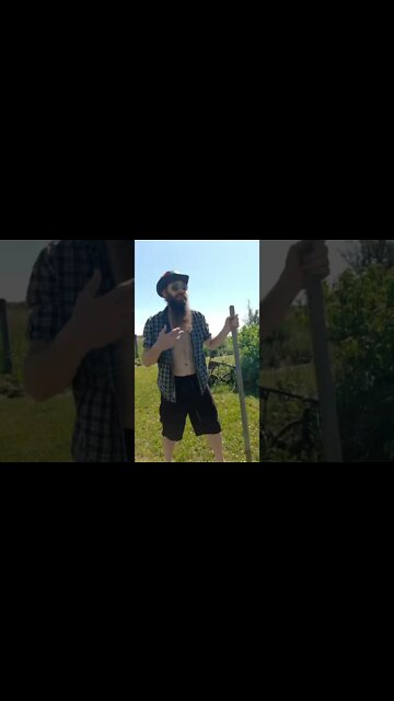 #ohhighbud #missjohnson #skitsbystrangedanimal #strangedanimal