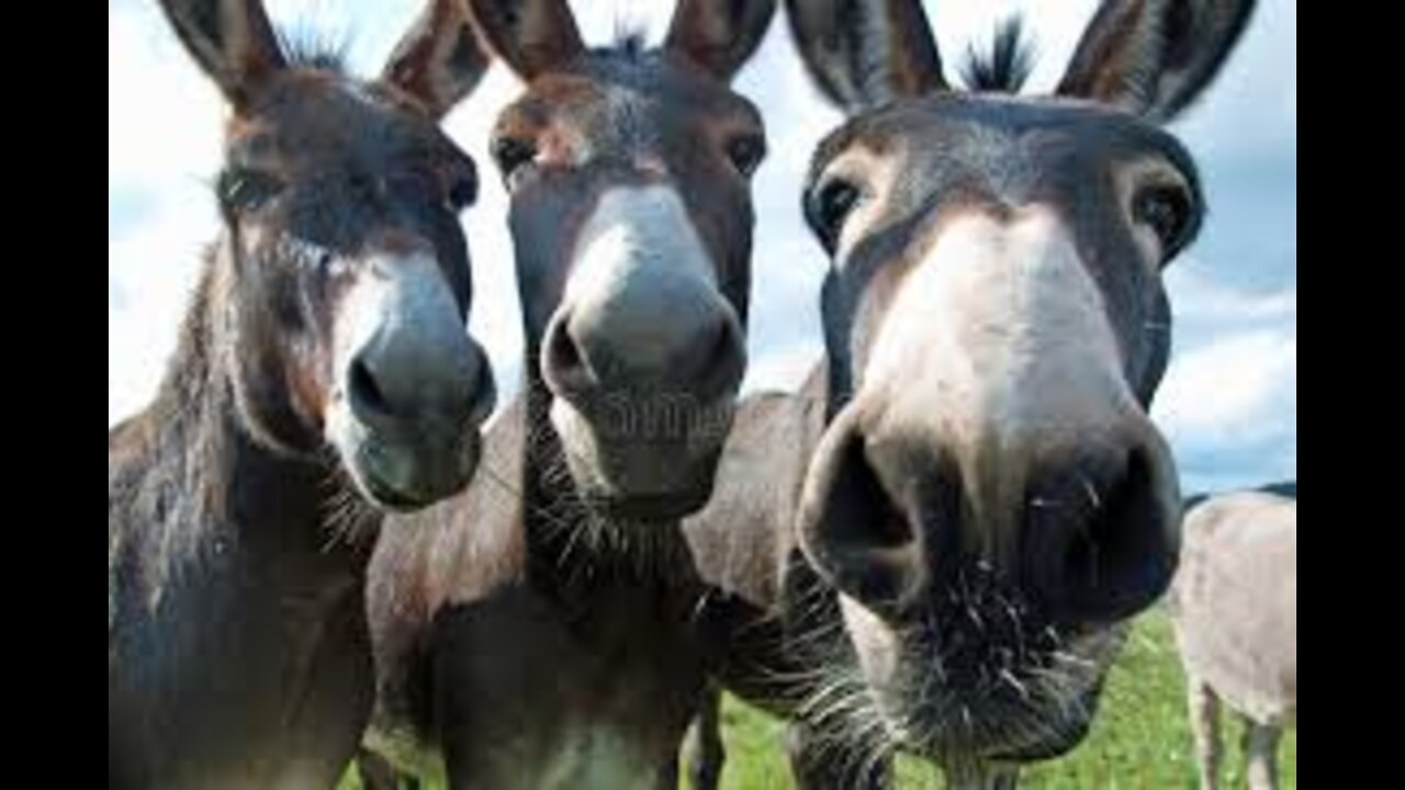 Evening Update with MarkZ 05/10/2022