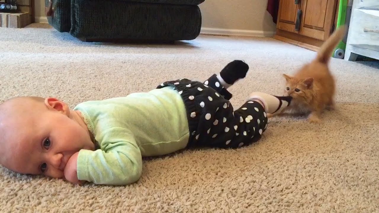 Fun and Fails Baby Video | Funniest Baby and Baby Animals Fails