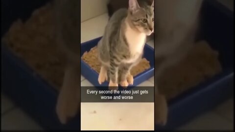 💩 #happens #all #the #time no #poophashtag #memedodoubleg