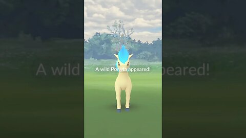 Shiny Compilation
