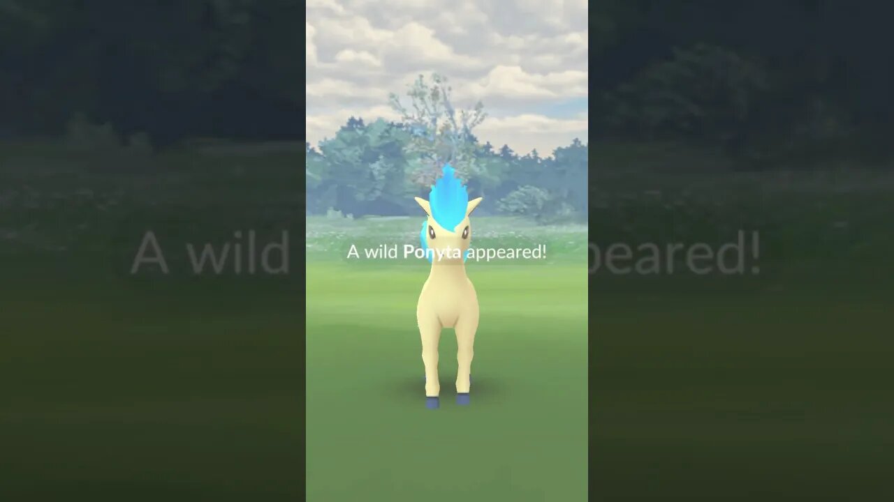 Shiny Compilation