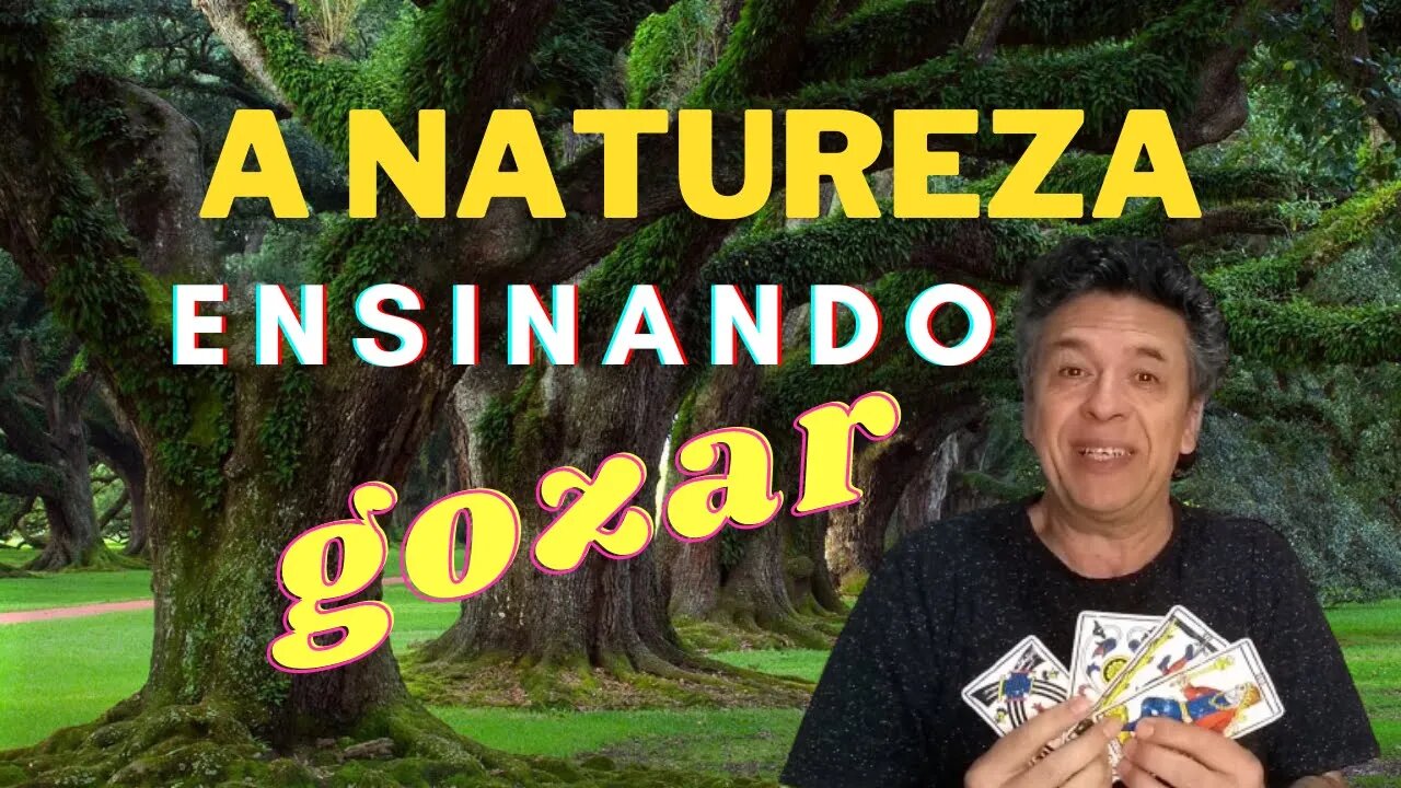 A DANÇA DOS ELEMENTOS DA NATUREZA FAZENDO GOZAR A VIDA