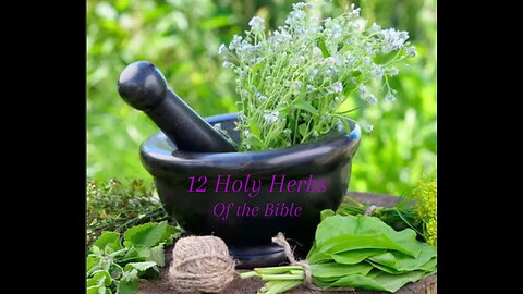 The 12 Holy Herbs of the Bible Pt.3