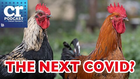 Is Bird Flu Being Used as The Next COVID?