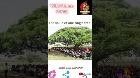 🔥Benefit of trees🔥#shorts🔥#wildfitnessgroup🔥4 June 2022🔥