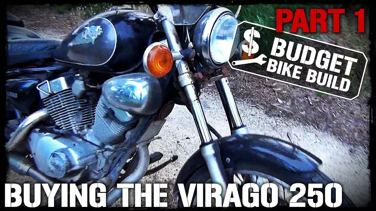 Virago 250 Build - PART 1. Buying The Bike