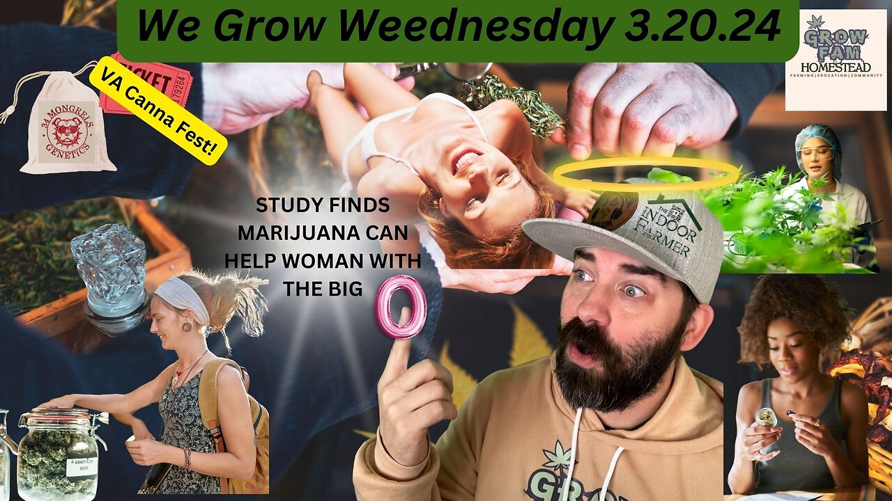 We Grow Wednesday 3.20.24 Study Finds Marijuana Increase O Frequency & Satisfaction 4 Women