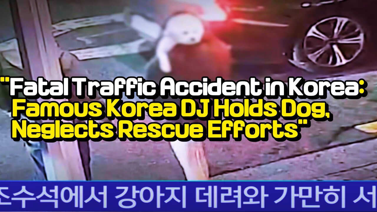 "Fatal Traffic Accident in Korea:Famous Korea DJ Holds Dog, Neglects Rescue Efforts"