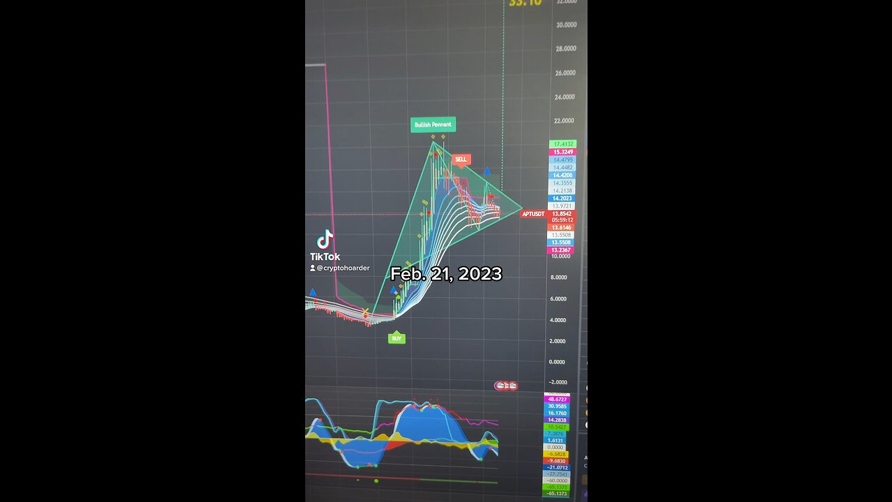 February 21, 2023: Bitcoin Chart and APTOS chart