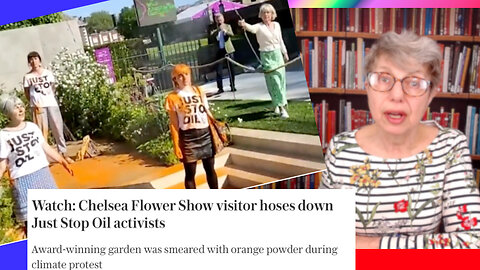 A bunch of self-entitled Mammilaria ruin a garden display