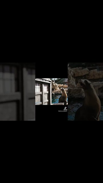 🌎 #TARDIS VS #EARTHDAY #HAPPYEARTHDAY #EARTH #DOCTORWHO #VIDEOOFTHEDAY #VOTD 🌎 #SUBSCRIBE #SHORTS