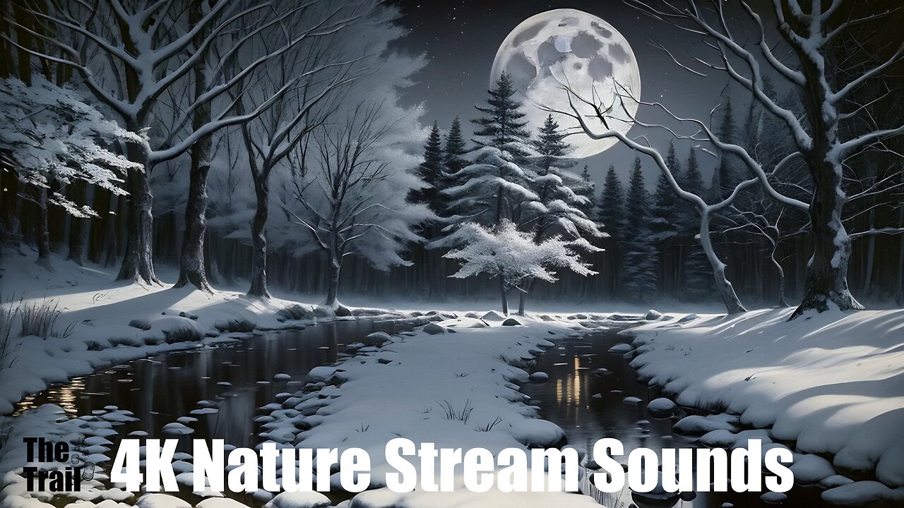 Ambient Nature Stream Sounds - Moonlight Forest | (AI) Audio Reactive Cinematic | The Moonlit Owl