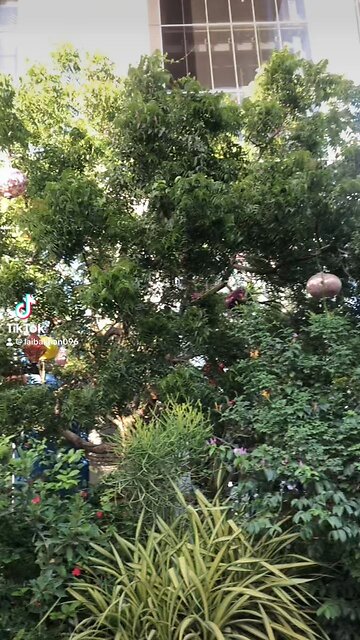 Visit to Magnifi Sceince