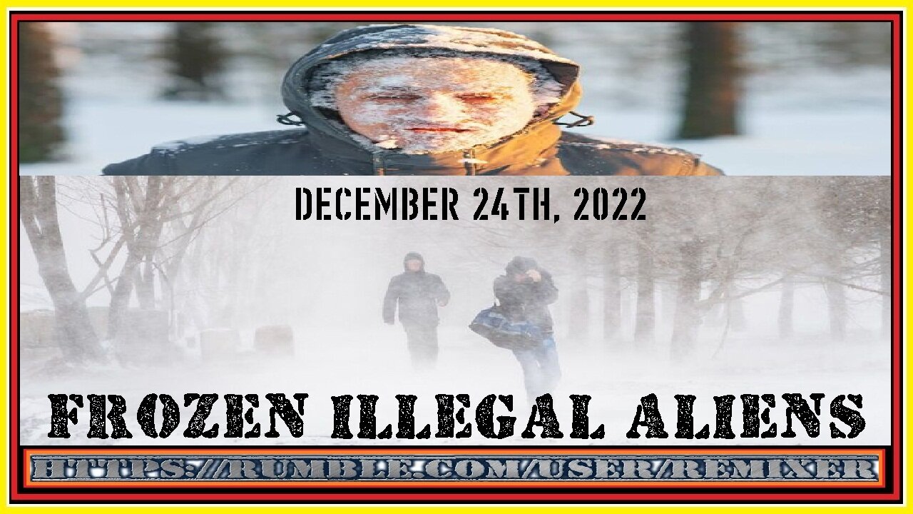 FROZEN ILLEGAL ALIENS