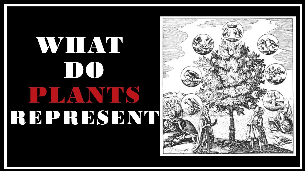 Esoterica: What do Plants Represent? -The Secret Teachings of All Ages