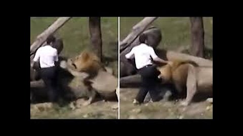 Brave Man control on lion🦁