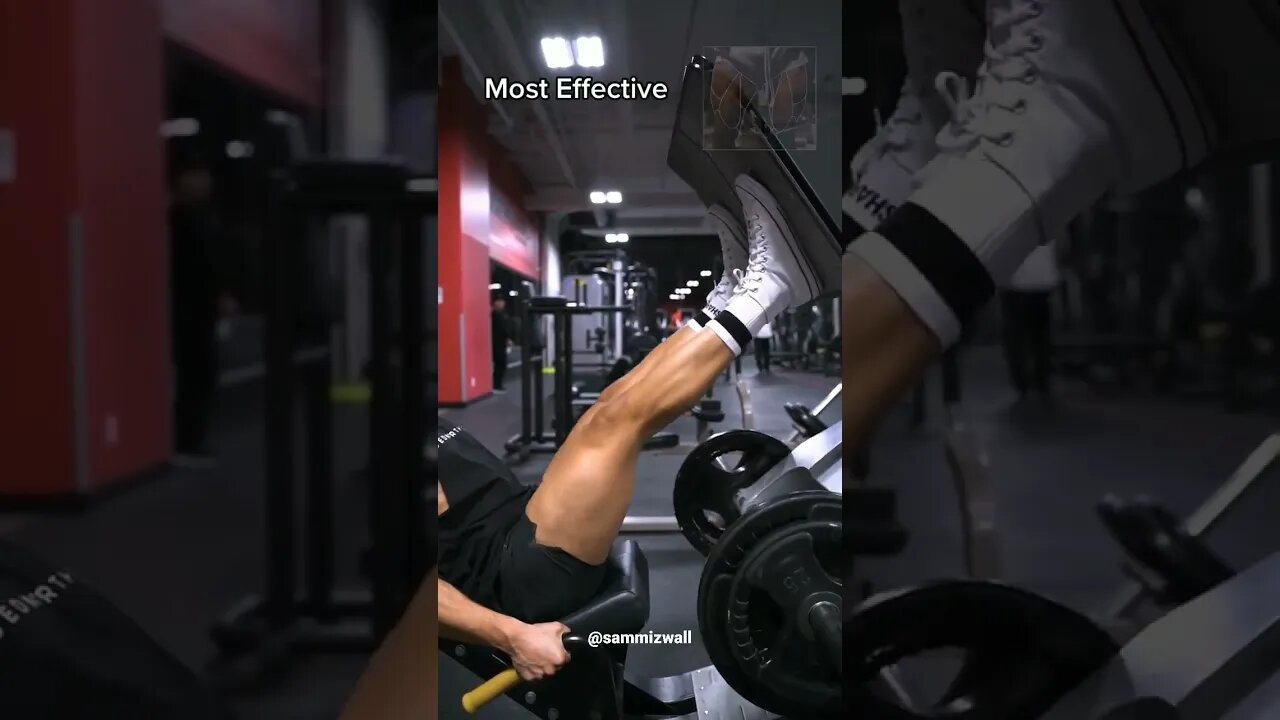 leg press Mistake ❌#shorts #workout #workoutmistakes #sammizwall