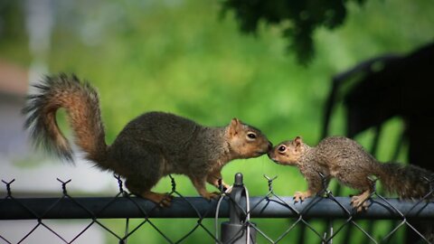 Short Late Night Live