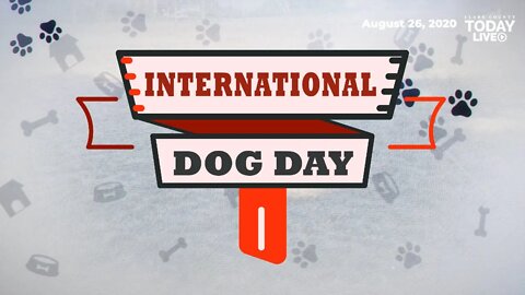 International Dog Day • August 26, 2020