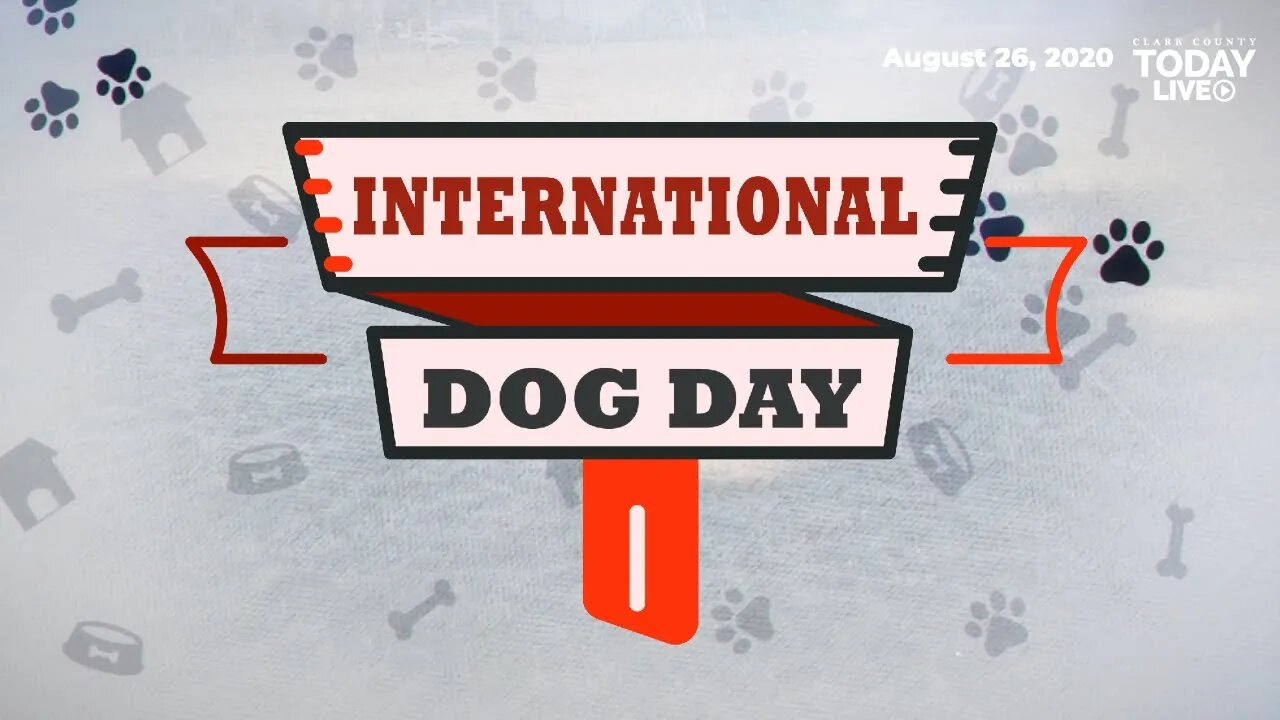 International Dog Day • August 26, 2020