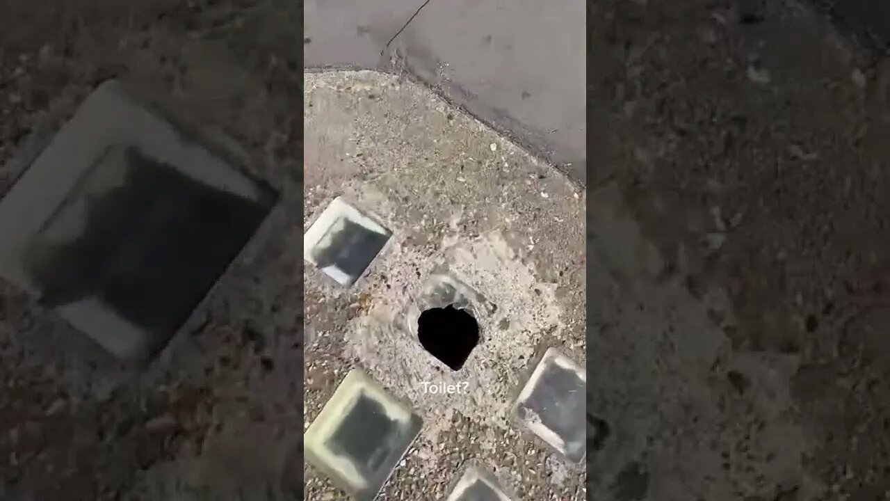 Toilet tiktok lilybridg