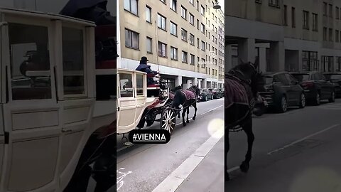 FIAKER WIEN #fiaker #shorts #horses #horsecarriage #vienna #austria