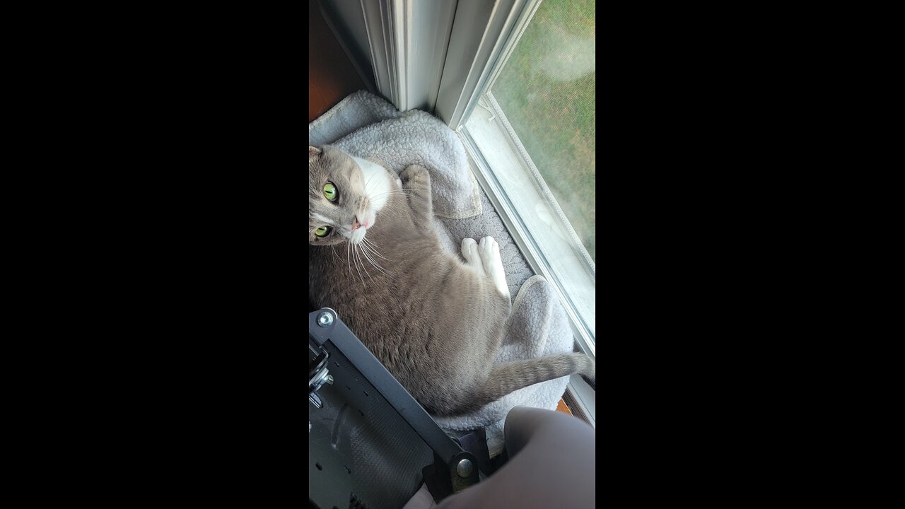 Excessive force from security