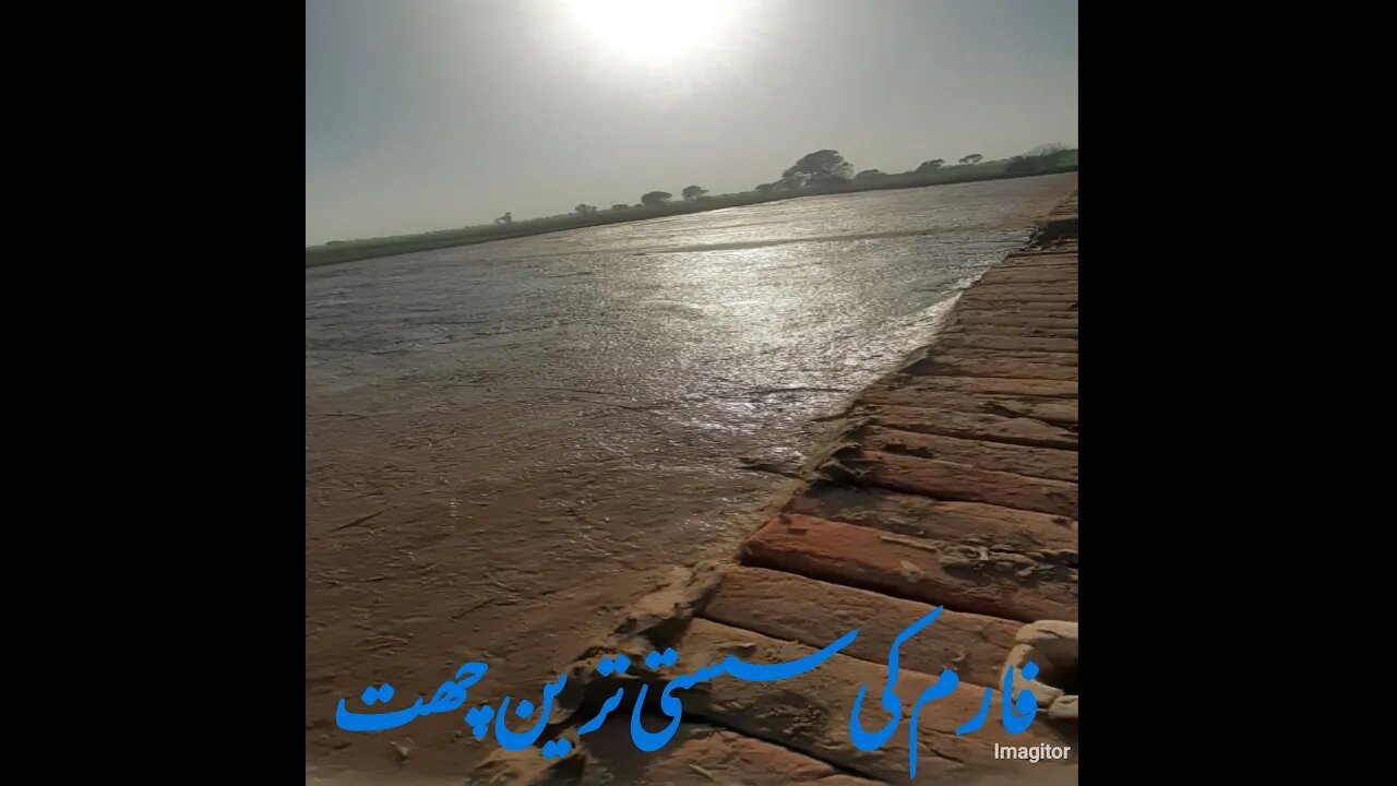 فارم میں چھت کی تعمیر- Preparing Of Roof in poultry farming