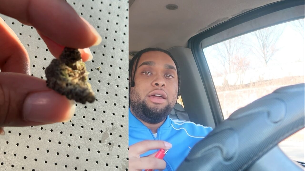Cookies Company Cannabis/Weed Reviews. Ask Louu About... "BernScotti" By Cookies Co.