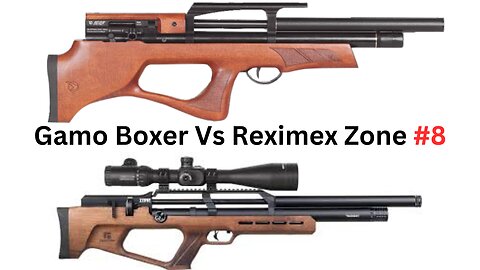 Reximex Zone Vs Gamo Boxer