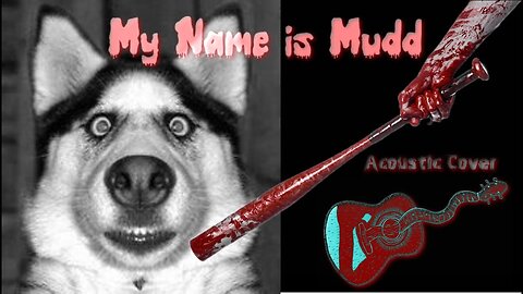 My Name is Mud Primus - Acoustic Cover