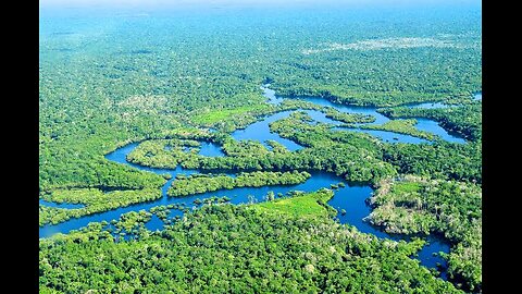 Amazon rainforest
