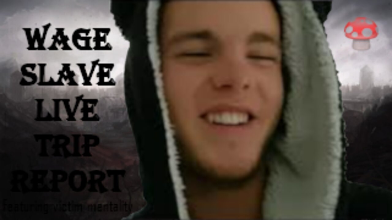 Wage Slave Realization. Live Magic Mushroom Trip Report. I Must Escape.