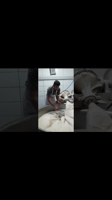 #shorts #2022 funny,prank,funjokes,dad jokes,funny memes,funny video,fun,laughing,funny animal,knock