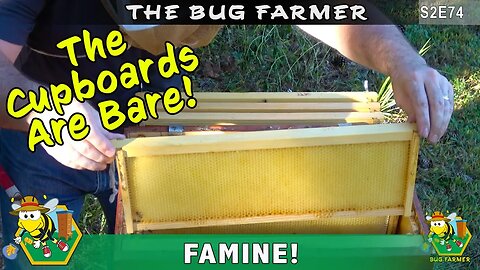 FAMINE: The Cupboards Are Bare : Feeding beehives for winter preparation. Feed bees sugar syrup.