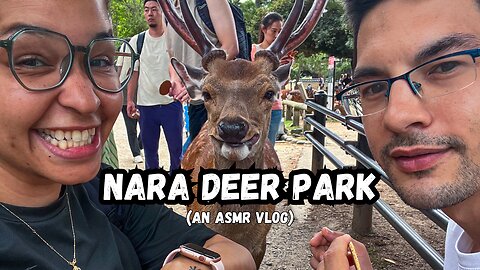 Nara Park (奈良公園) | Experience Nara Deer Park With Us | ASMR + Music Vlog! NO Commentary.