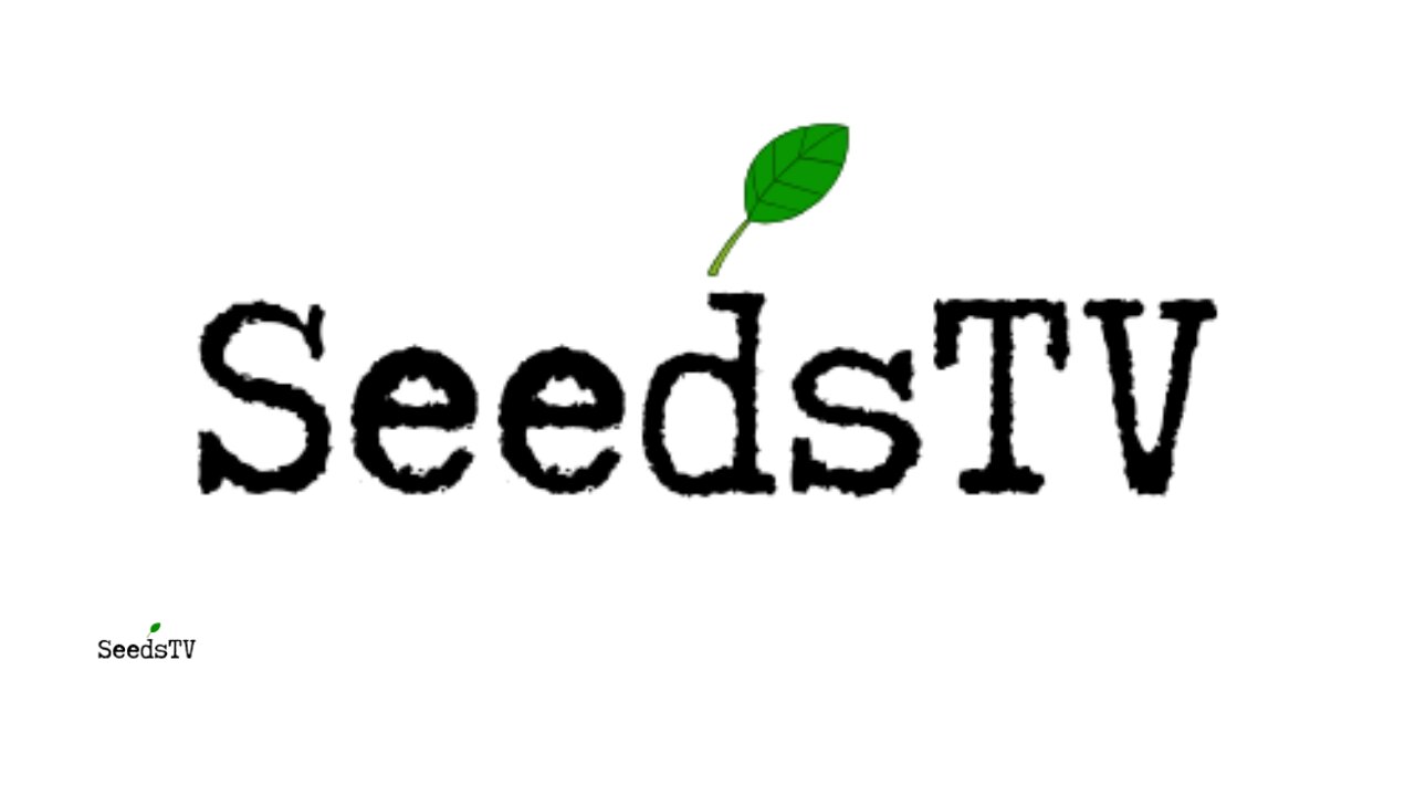 Seeds of Addiction Pt. 1