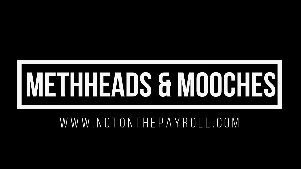 METHHEADS AND MOOCHES