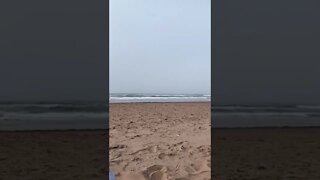 Watching the waves at the beach