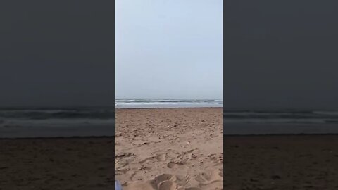 Watching the waves at the beach