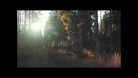 Relaxation Video with Meditation, StudyingReading,Massage and Sleeping Musical Instrumen