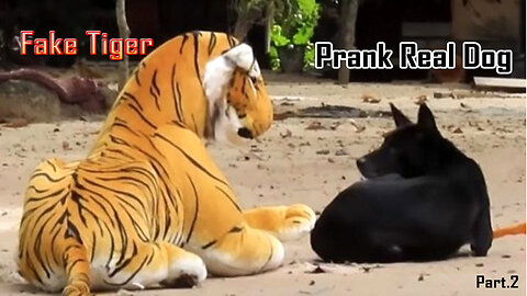 Part-2 Troll Prank Dog Funny & fake Lion and Fake Tiger Prank To dog & Huge Box Prank to real dog