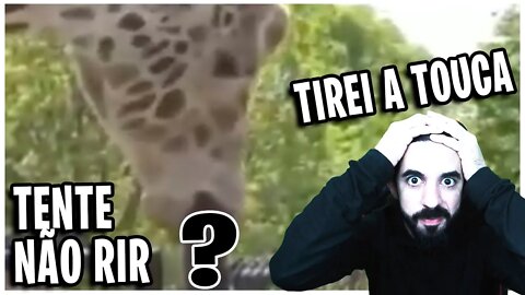 Tirando A TOUCA e a GIRAFA SAFADINHA - Tente não rir #1 KZB Games