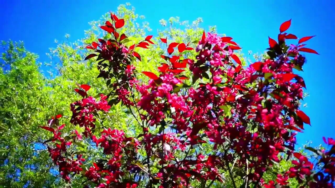 🎵🧘♀️Strong music for meditation visualization relaxation and wellbeing