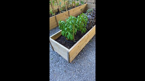 homestead update